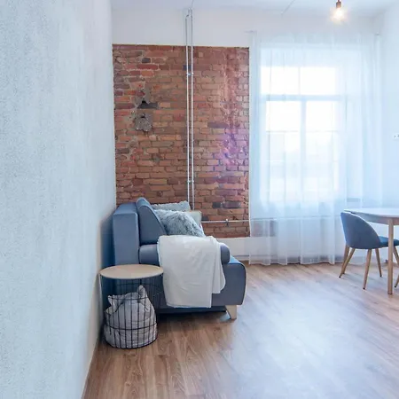 Cozy Studio With Industrial Design * 塔尔图